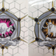 Illustration for article titled Commemorative Plates for the Mass Extinction